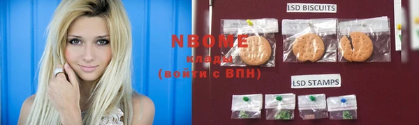 индика Зеленокумск