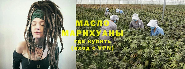 индика Зеленокумск