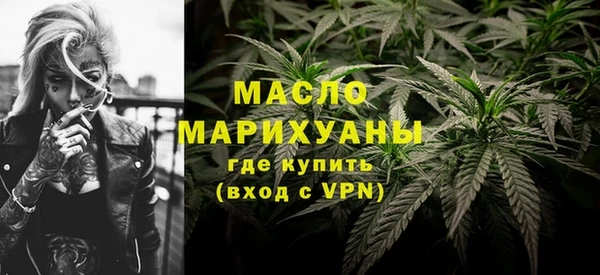 индика Зеленокумск