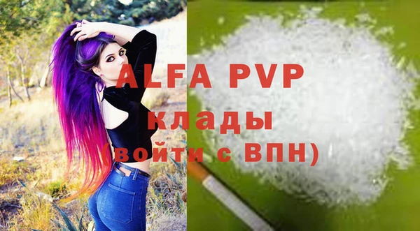 индика Зеленокумск