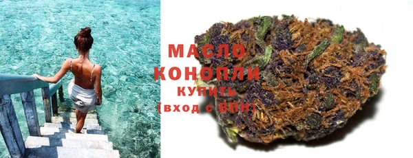 индика Зеленокумск