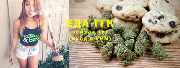 индика Зеленокумск