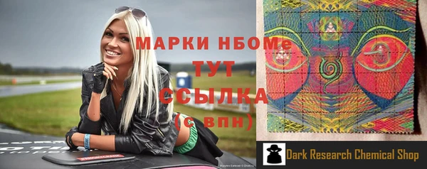 индика Зеленокумск