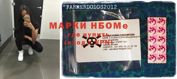 индика Зеленокумск