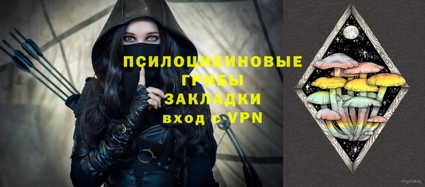 индика Зеленокумск