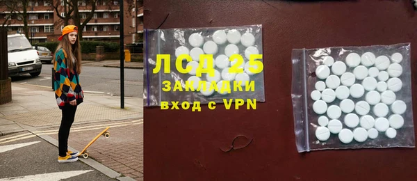 индика Зеленокумск