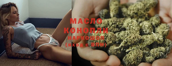 индика Зеленокумск