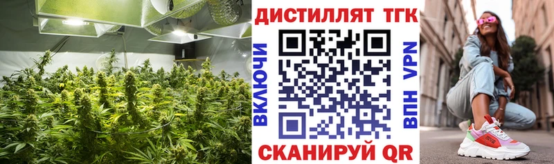 Купить закладки  Красково  ТГК гашишное масло 
