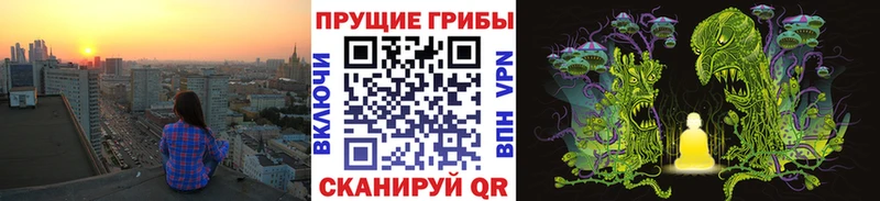 Купить где  Красково  Галлюциногенные грибы Cubensis 